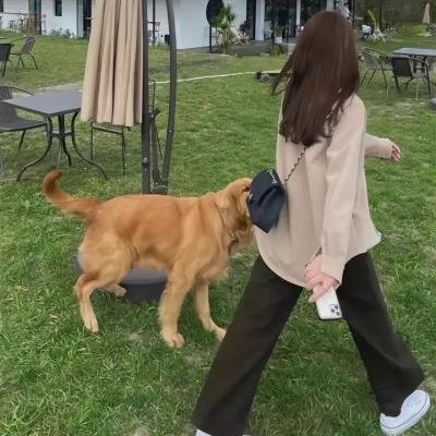 欢迎回来 百音