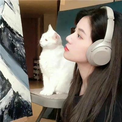 暴躁家族